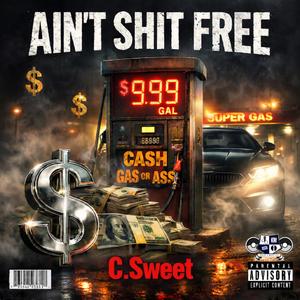 Ain't Sh T Free