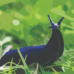 Big Slug