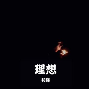 理想和你
