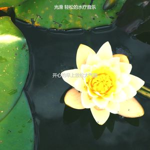 一尘不染面部按摩印象数