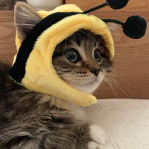 난 잘 몰라서 매번 이렇게 (Prod. Wuno)