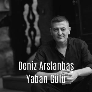 Yaban Gülü