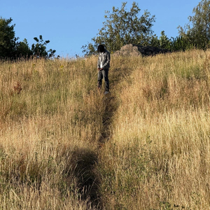 Will You Still Love Me?