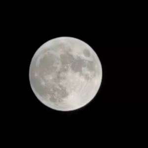 对父母的思 伴奏