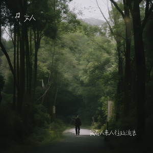 我在人来人往处流浪