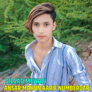 Ansar Mahun Aarif Numberdar