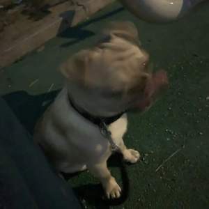 心疼你的过去（翻自:许嵩）