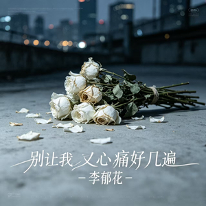 别让我又心痛好几遍