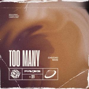 Too Many (feat. BGE & Prxnce Isaac Lamar)