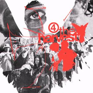 camber (feat. ConradTokyo, BEAR HALEY & Davis Green)