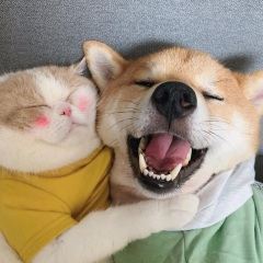 什么是逍遥（原唱 ）