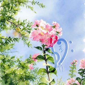 蝶语(雨)-蝶恋花