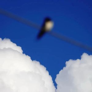 星星住进你眼睛