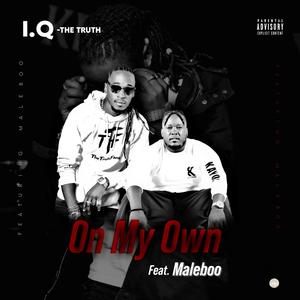 On My Own (feat. Maleboo)
