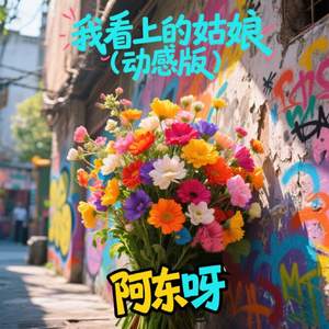 我看上的姑娘(动感版)