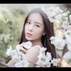 逆风的蝴蝶 (国)