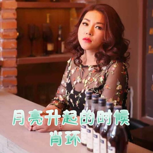 月亮升起的时候