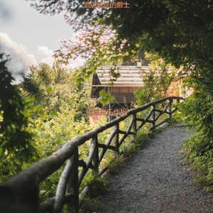 适合旅馆奇妙的音乐