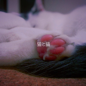 色褪せない若葉