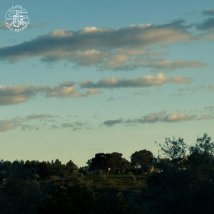 Early Light