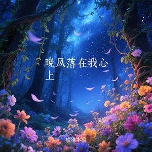 晚风落在我心上