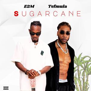 SUGARCANE (feat. E2M)