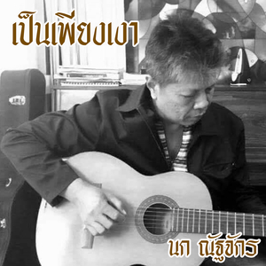 เป็นเพียงเงา