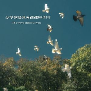the way i still love you（分享欲是我赤裸裸的告白）