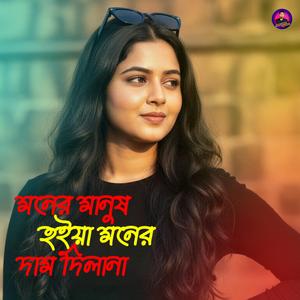 মনের মানুষ হইয়া মনের দাম দিলানা
