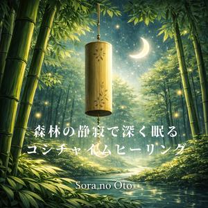 夜の森で広がるやさしい音