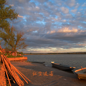 豆蔻年华 (手碟)