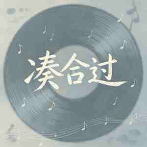 凑合过