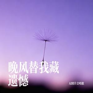 晚风替我藏遗憾