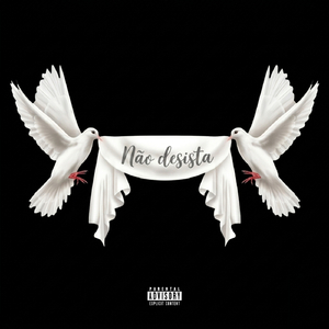 Não Desista