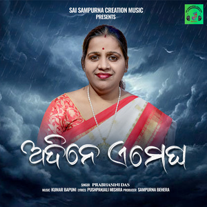 Adine E Megha