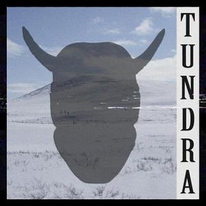Tundra