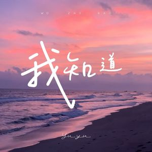 我知道 （一切都是我太过骄纵以为你会懂）