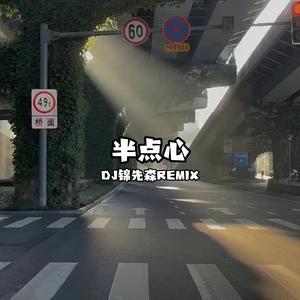 半点心（DJ锦先森 Remix）