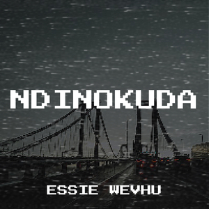Ndinokuda