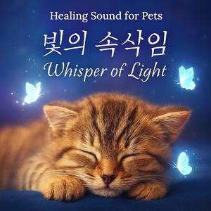 안녕의 순간 - Moment of Goodbye