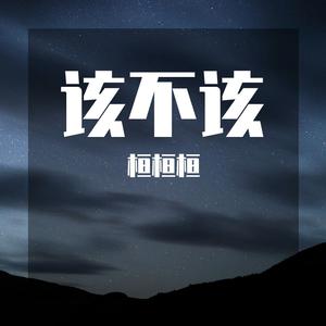 该不该（翻自 莫智钦）