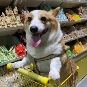 夹在门缝里的信