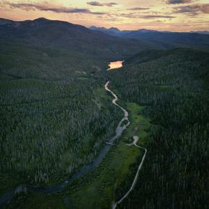 粉红的回忆 (中阮)