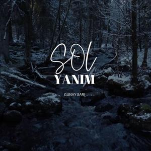 Günay Sarı Sol Yanım