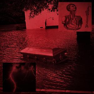 Step 1: accepting your death