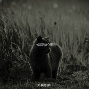 抚慰的放松的猫回忆