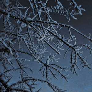 Холод (prоd. by knyaz)