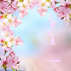 美梦成真
