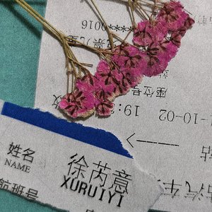 徐芮意你好