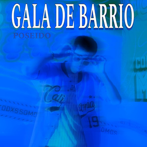 Gala de barrio